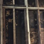 Tar paper covered the shiplap which had been eaten away by insects
